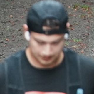 Person 1391