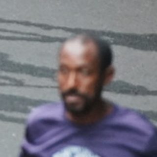 Person 1337