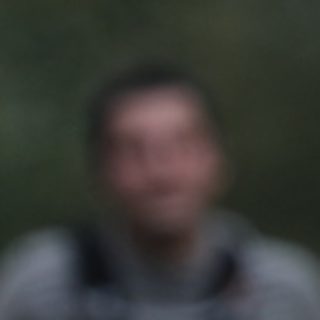Person 1531